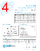 5HT2-R Datasheet HTML 4Page - Bel Fuse Inc. 