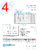 5TTP5-R Datasheet HTML 4Page - Bel Fuse Inc. 