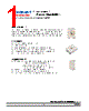 DWB-SJS-R2 Datasheet HTML 1Page - DOMINANT Semiconductors 