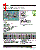 HCP0704-R60-R Datasheet HTML 1Page - Cooper Bussmann, Inc. 