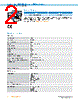 IRS100-R53OF40 Datasheet HTML 2Page - SICK AG 